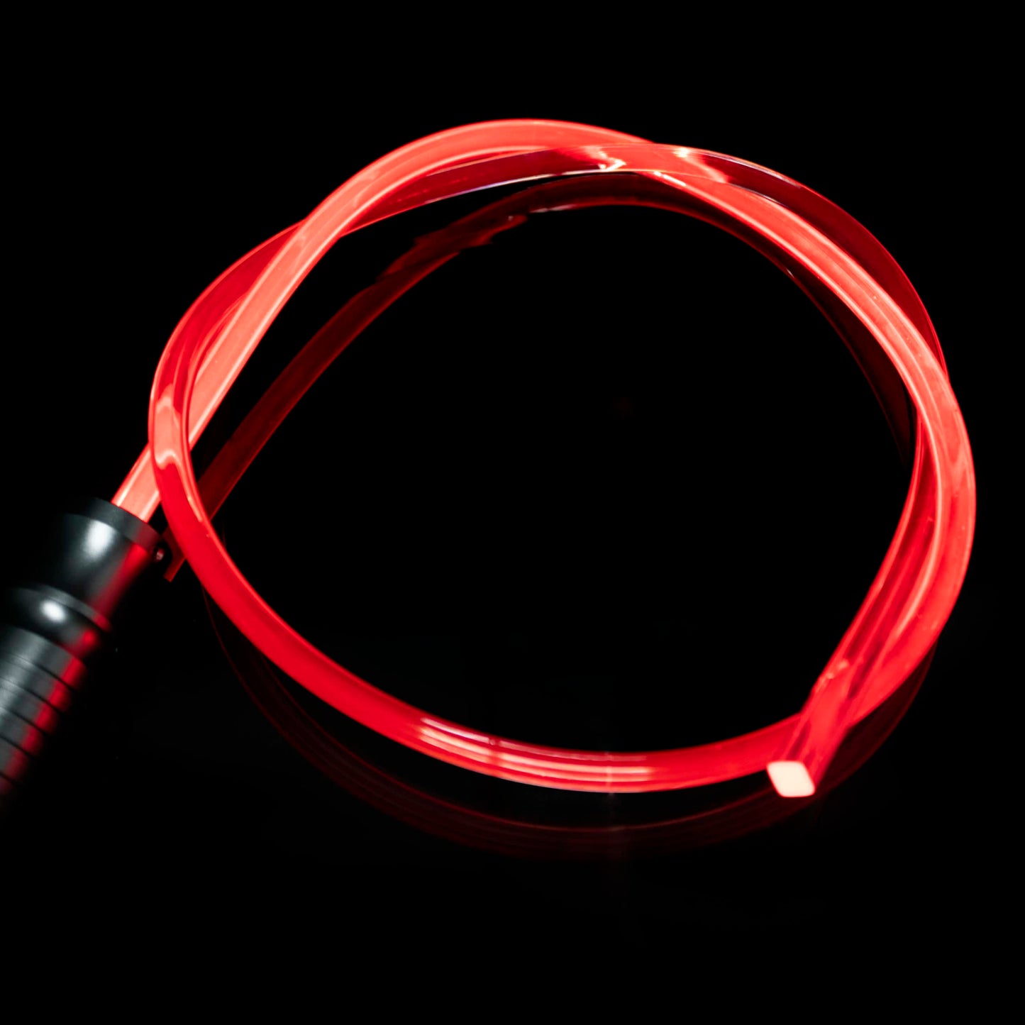 The  Light Whip
