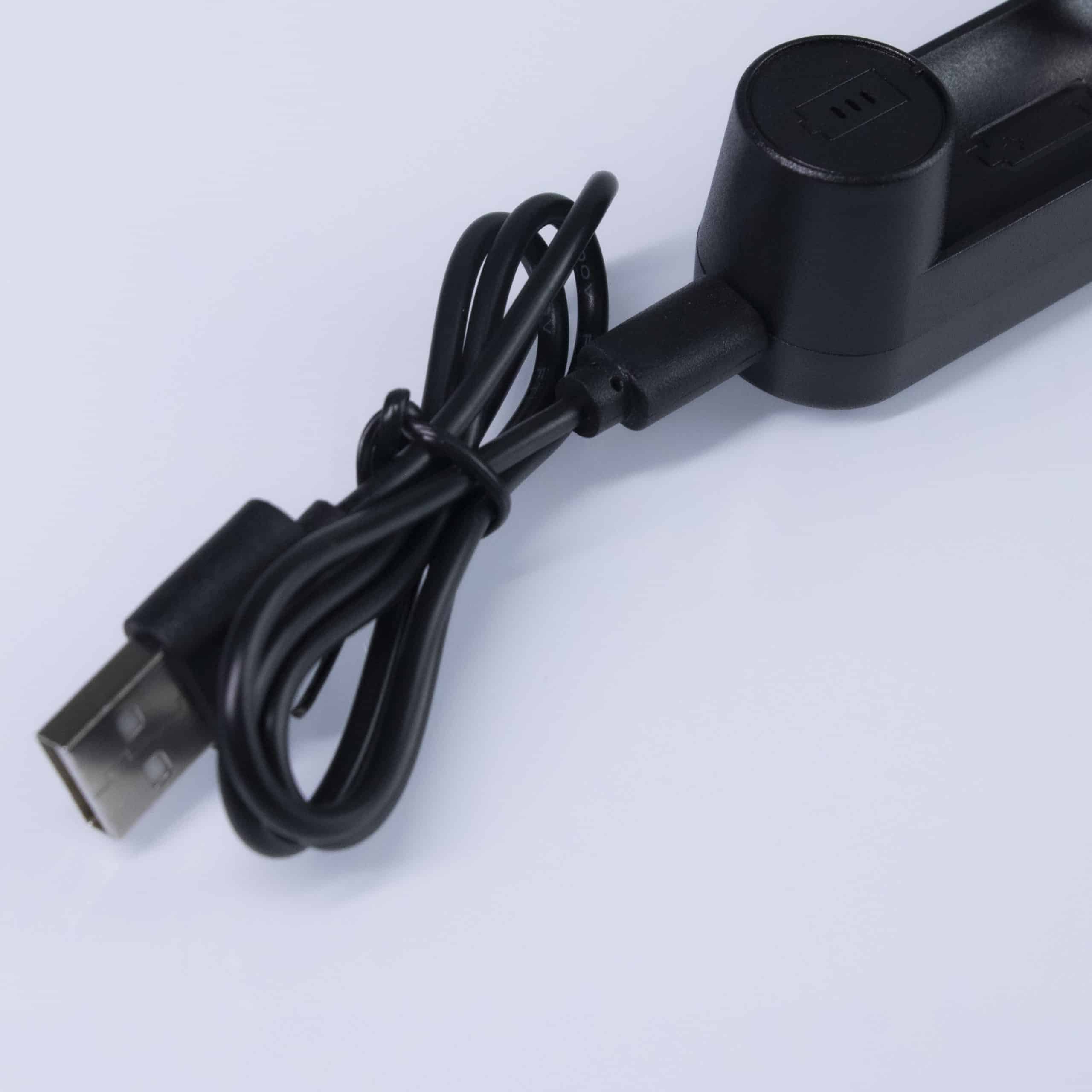 The  Battery Charger