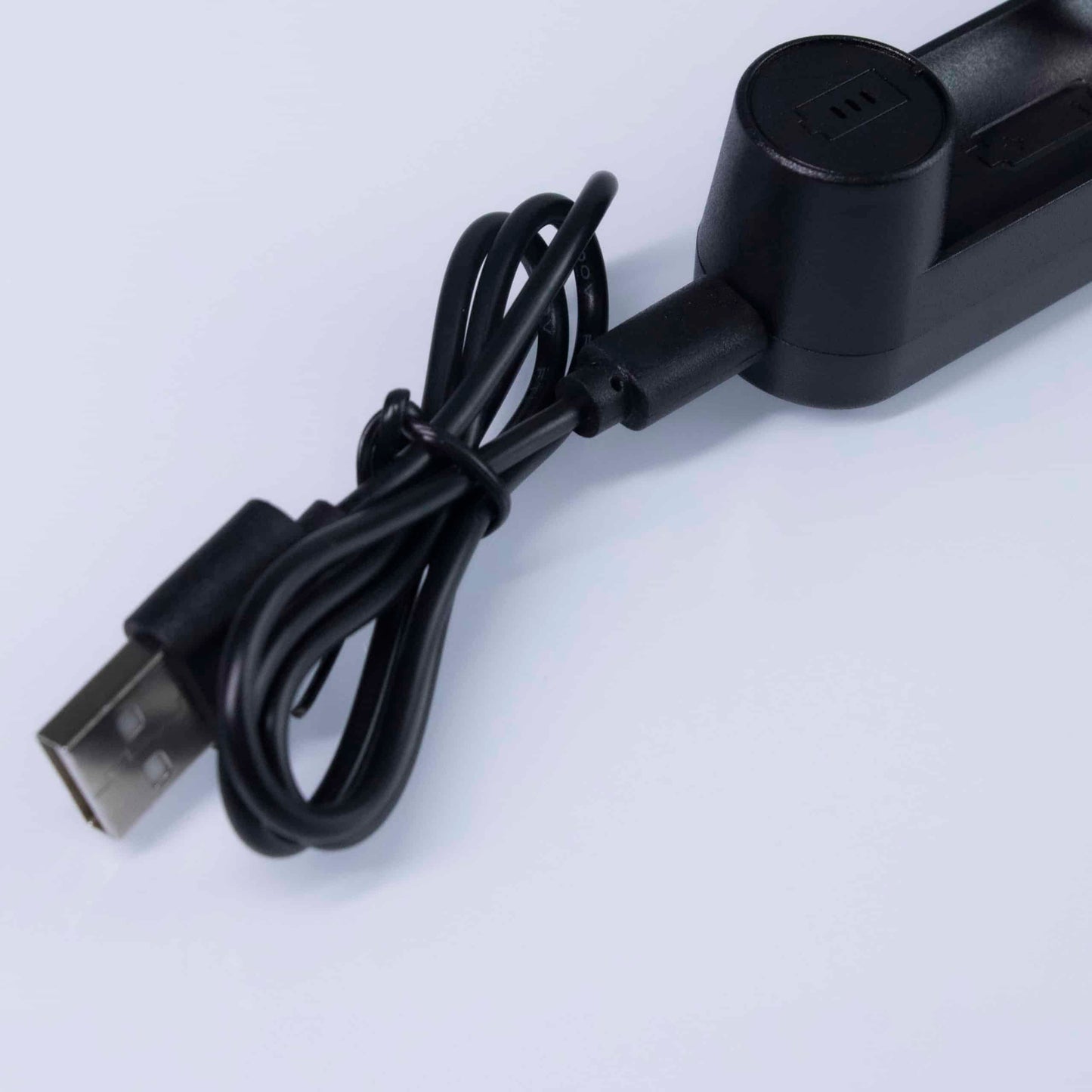 The  Battery Charger